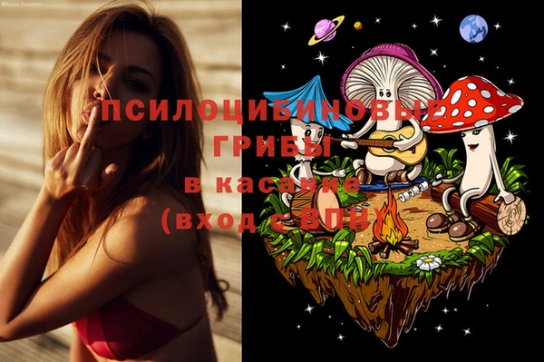 кокс Алзамай