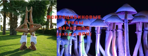 кокс Алзамай
